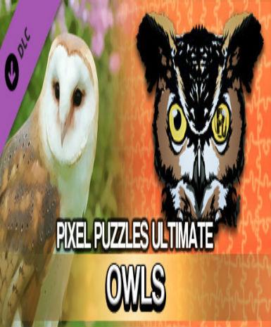 Pixel Puzzles Ultimat - Puzzle Pack: Owls (DLC) Game Cover