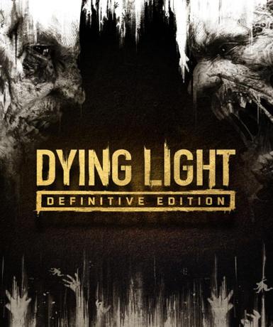 Dying Light (Definitive Edition) (Steam) Game Cover