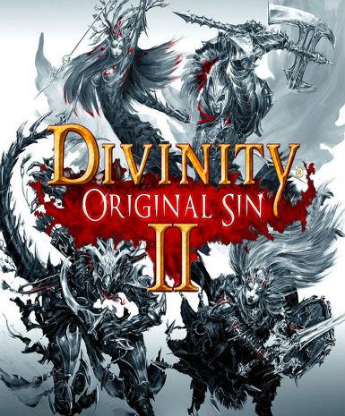 Divinity: Original Sin II (GOG) Game Cover