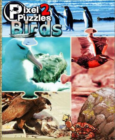 Pixel Puzzles 2: Birds (EU) Game Cover