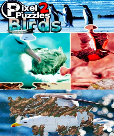 Pixel Puzzles 2: Birds (Steam) Game Cover