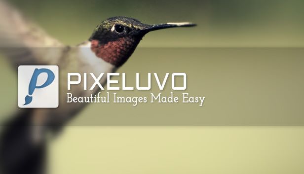 Pixeluvo Game Cover
