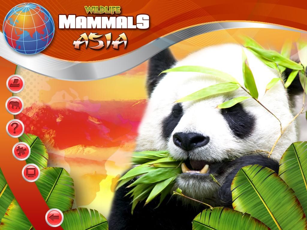 The Wildlife Creative Studio Game Cover