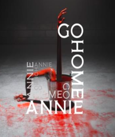 Go Home Annie (Steam) Game Cover