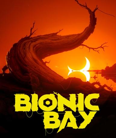 Bionic Bay (Steam) Game Cover