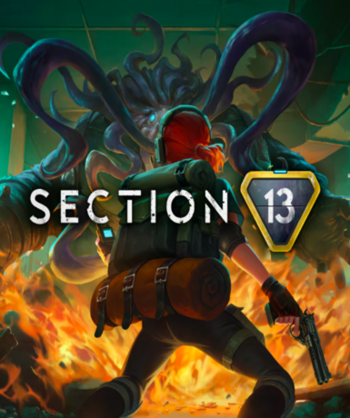 Section 13 (Steam) Game Cover